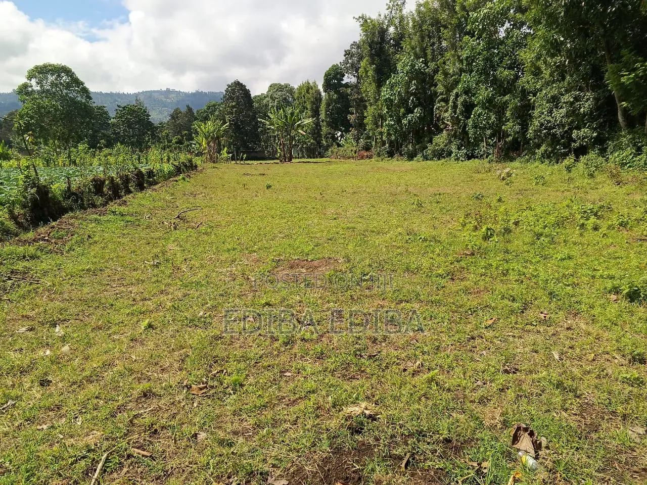 15 Acres Titled Plot for Sale in Arusha-Moshi Road in Moshi Urban