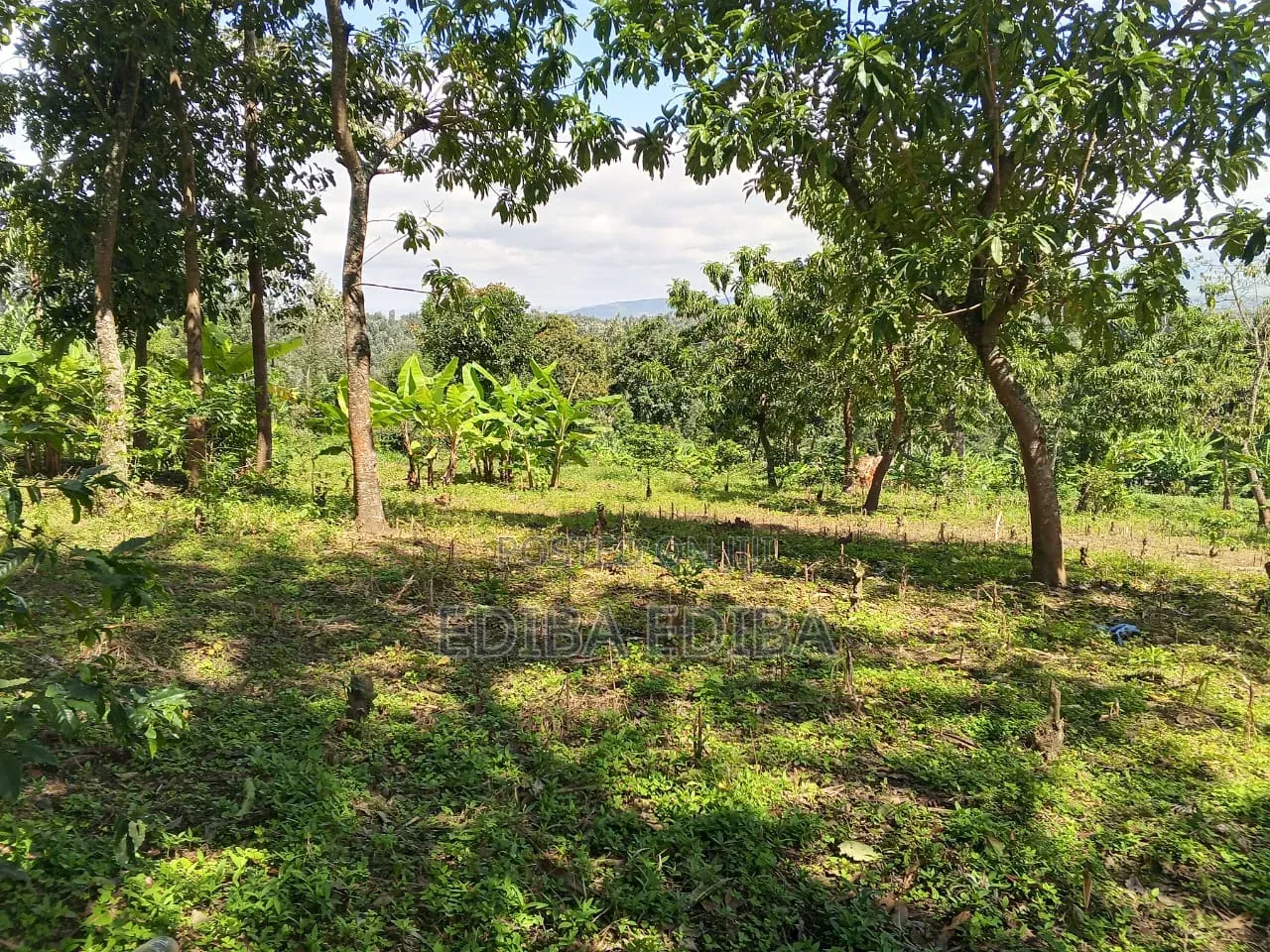 15 Acres Titled Plot for Sale in Arusha-Moshi Road in Moshi Urban