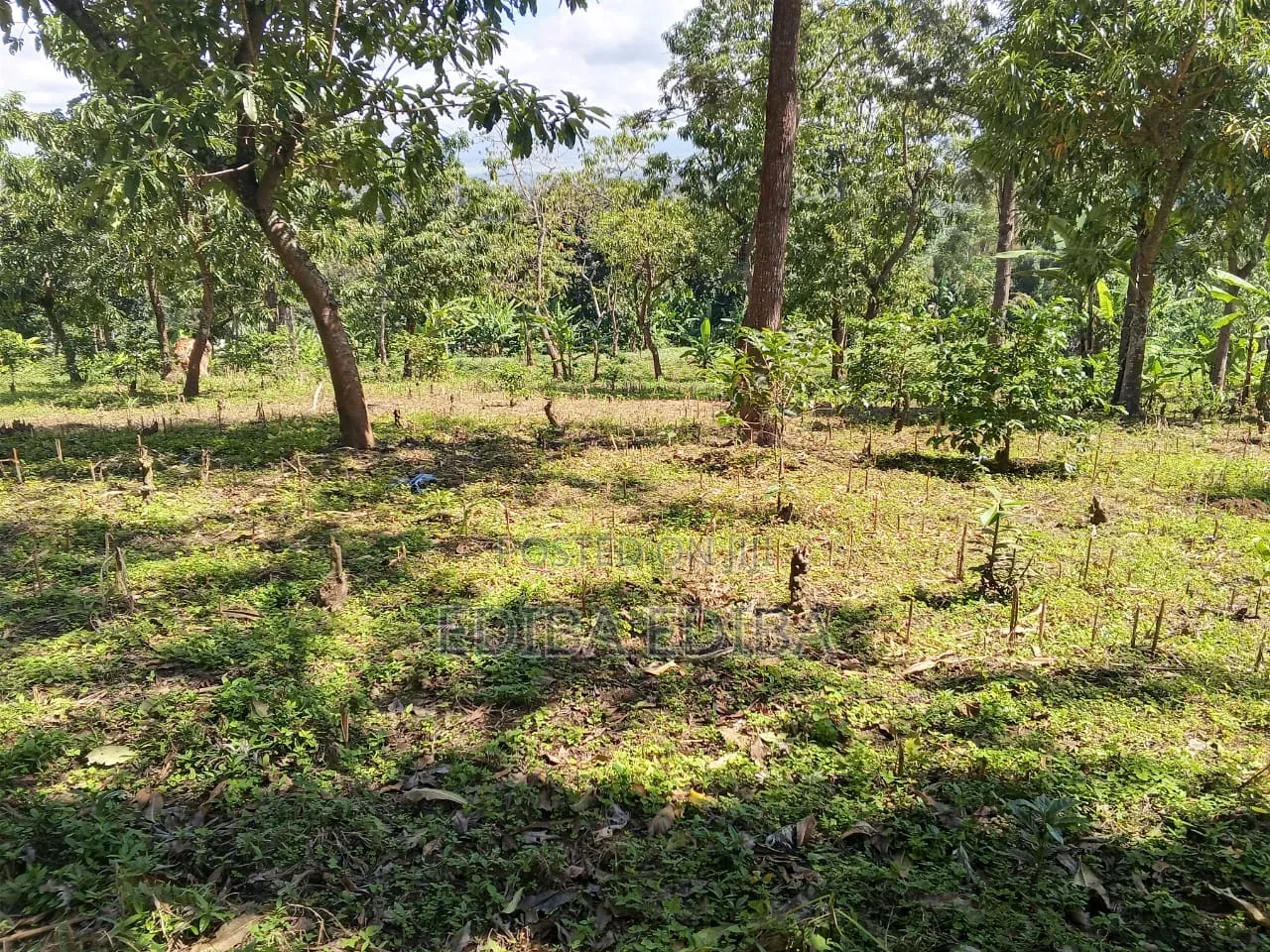 15 Acres Titled Plot for Sale in Arusha-Moshi Road in Moshi Urban