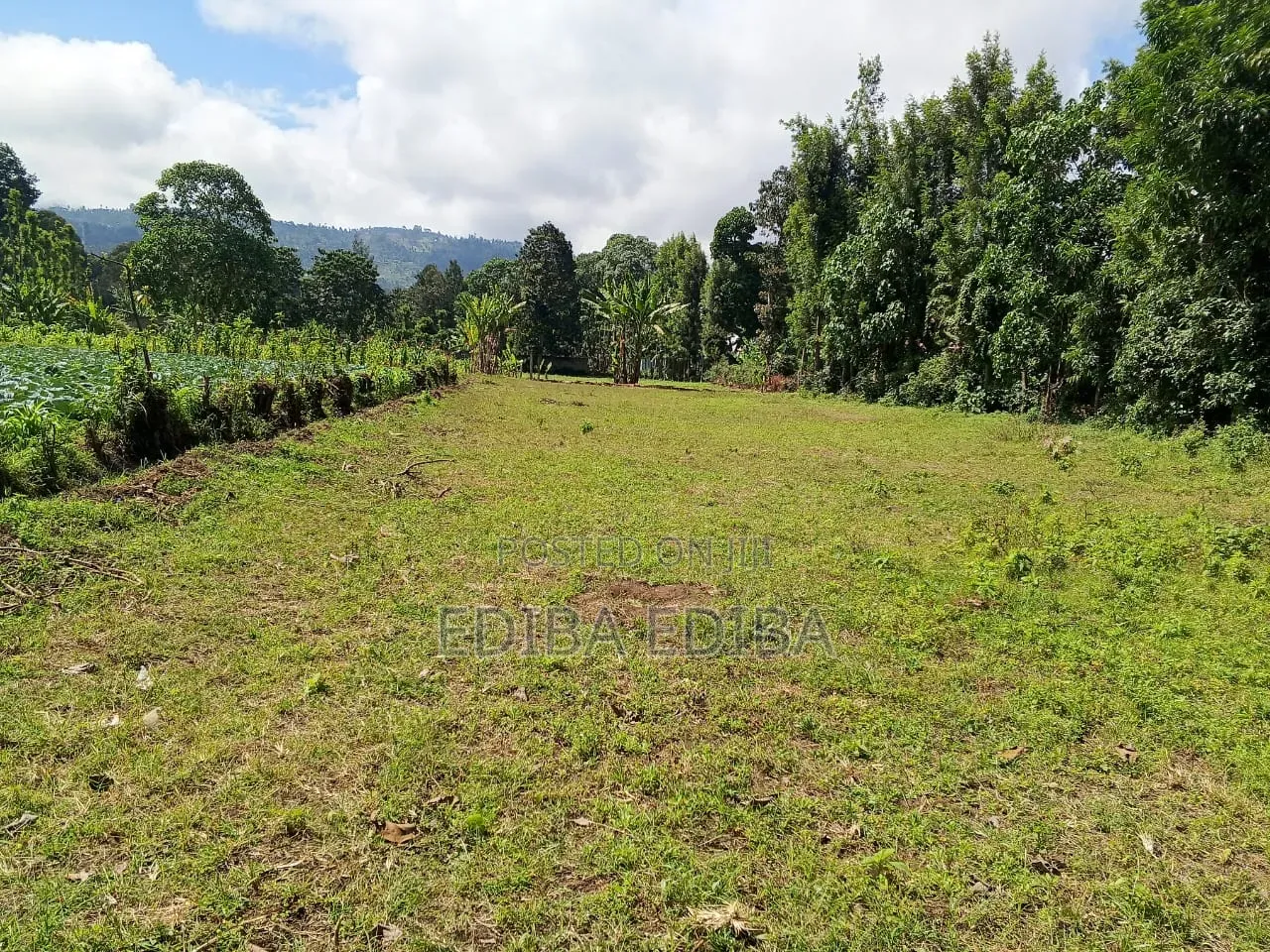 15 Acres Titled Plot for Sale in Arusha-Moshi Road in Moshi Urban