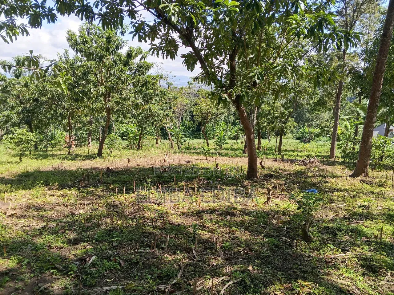 15 Acres Titled Plot for Sale in Arusha-Moshi Road in Moshi Urban