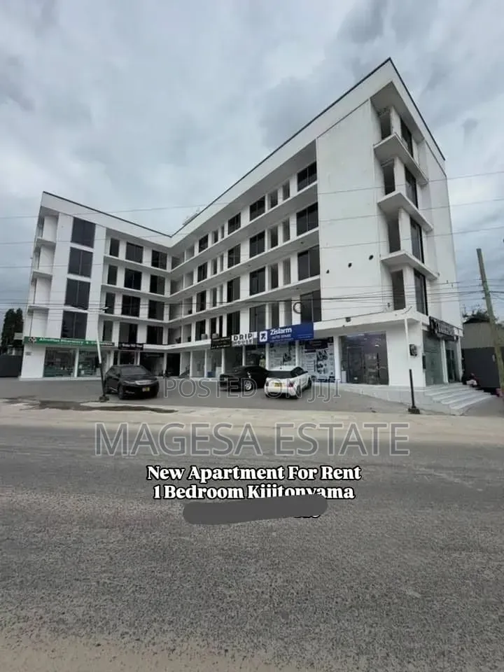 1bdrm Apartment in Kijitonyama for rent in Kijitonyama