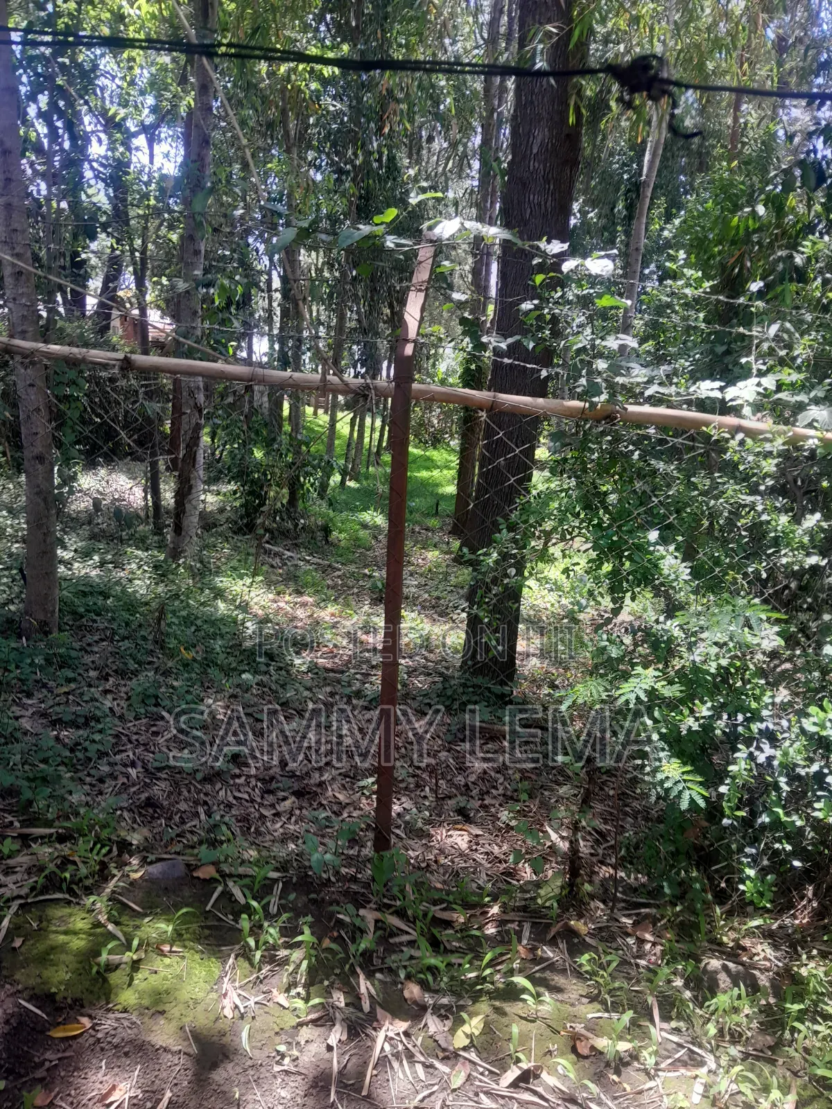 Kiwanja (Plot) Size 7212 Sqmfor Sale Arusha Sakina in Central Business Area