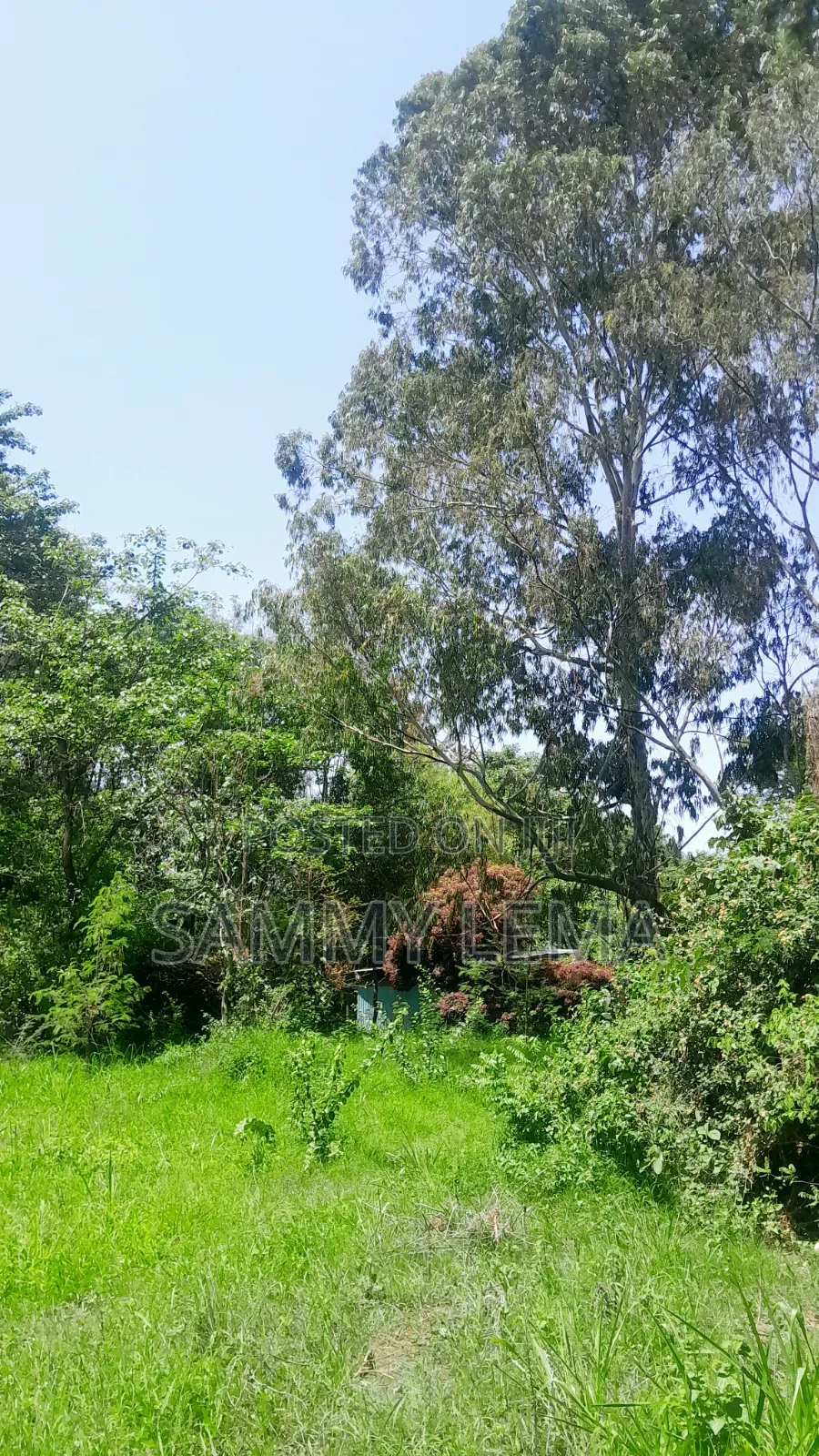 Kiwanja (Plot) Size 7212 Sqmfor Sale Arusha Sakina in Central Business Area