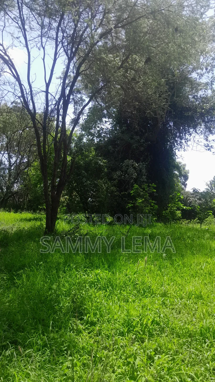 Kiwanja (Plot) Size 7212 Sqmfor Sale Arusha Sakina in Central Business Area