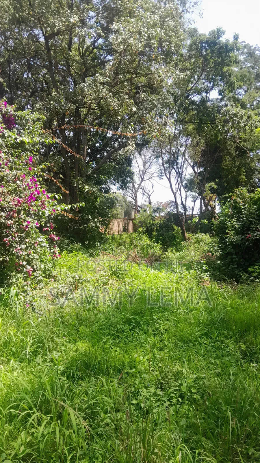 Kiwanja (Plot) Size 7212 Sqmfor Sale Arusha Sakina in Central Business Area