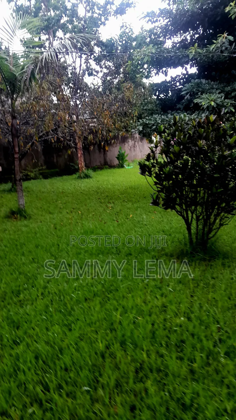 4bdrm Mansion in Sammysaidrealestate, Moshono for rent in Moshono