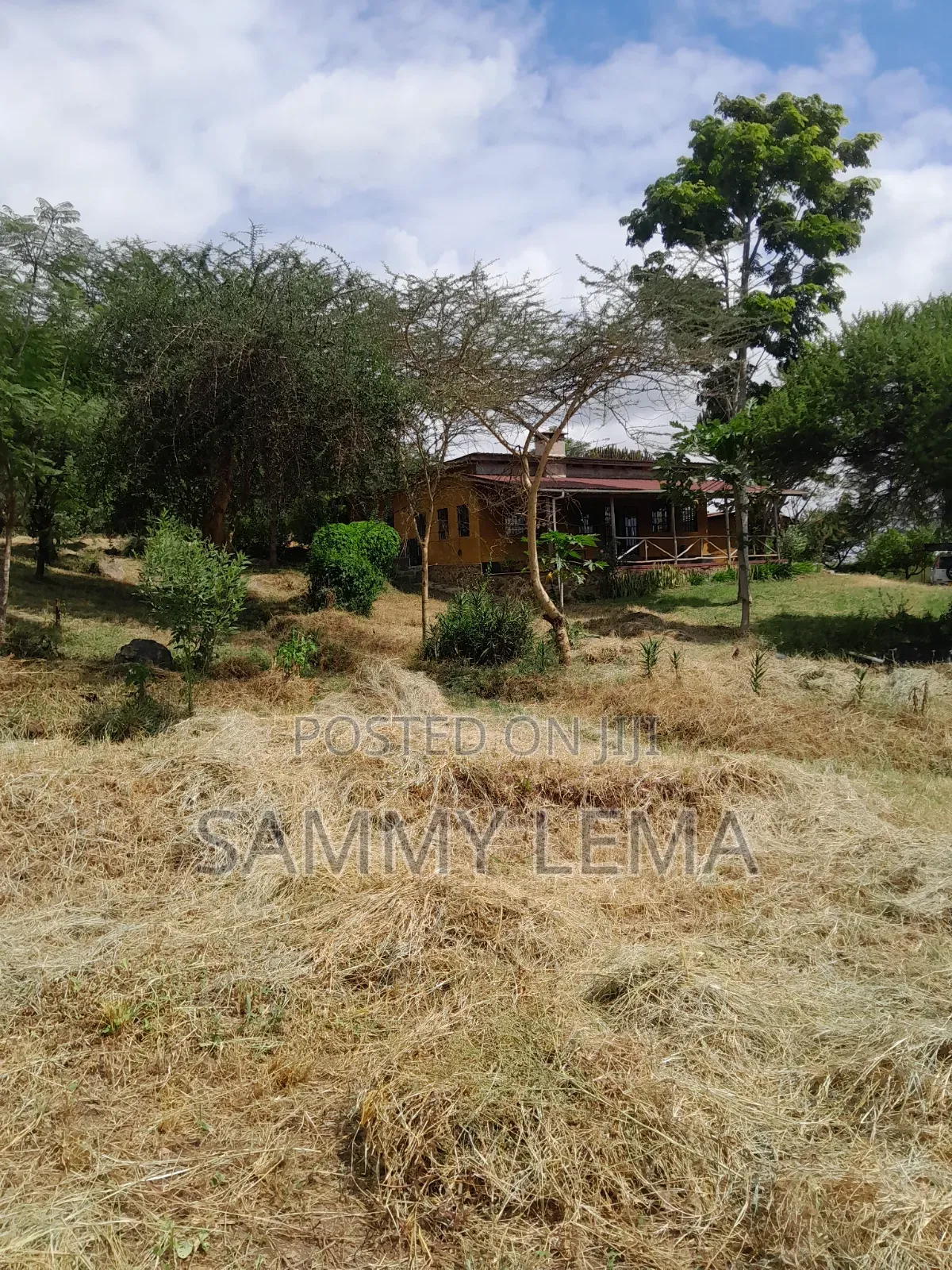 5bdrm Farm House in Sammy Saidy Real, Mateves for sale in Mateves