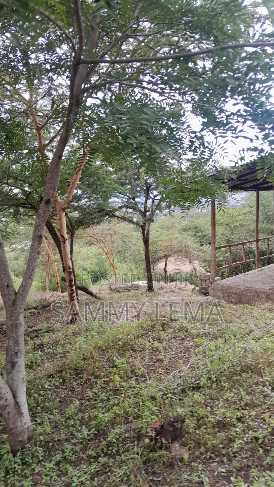 5bdrm Farm House in Sammy Saidy Real, Mateves for sale in Mateves