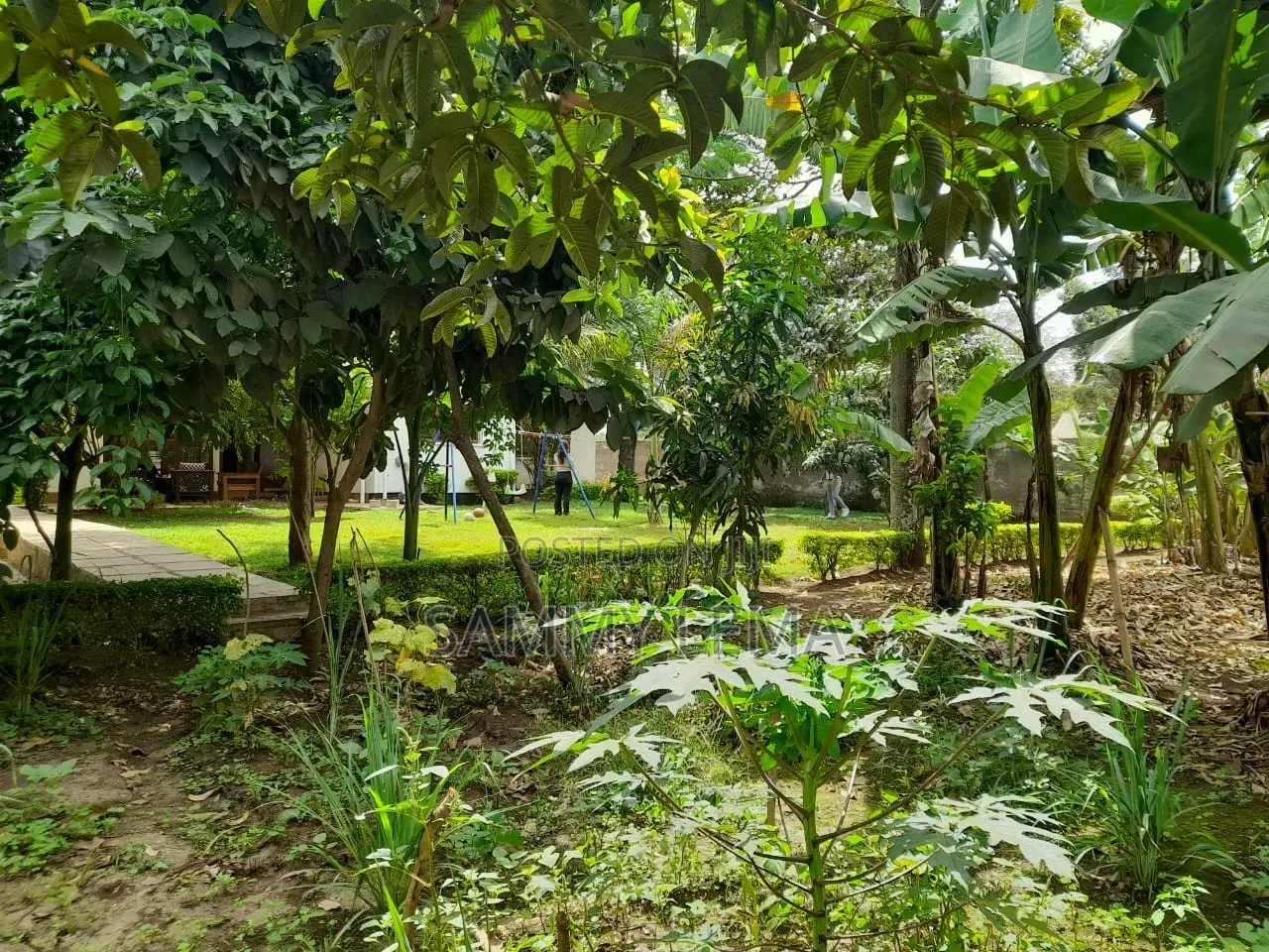 5bdrm Bungalow in Sammy Saidy, Njiro for rent in Njiro