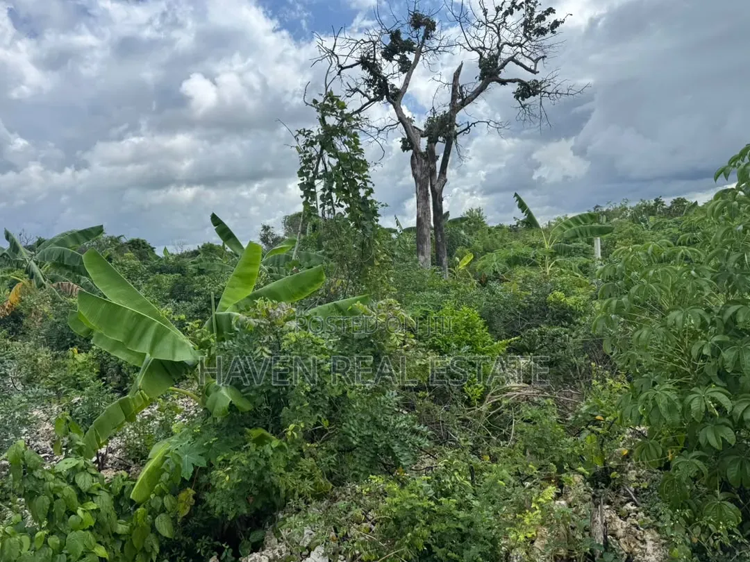 Beach Plot for Sale at Zanzibar in Kusini