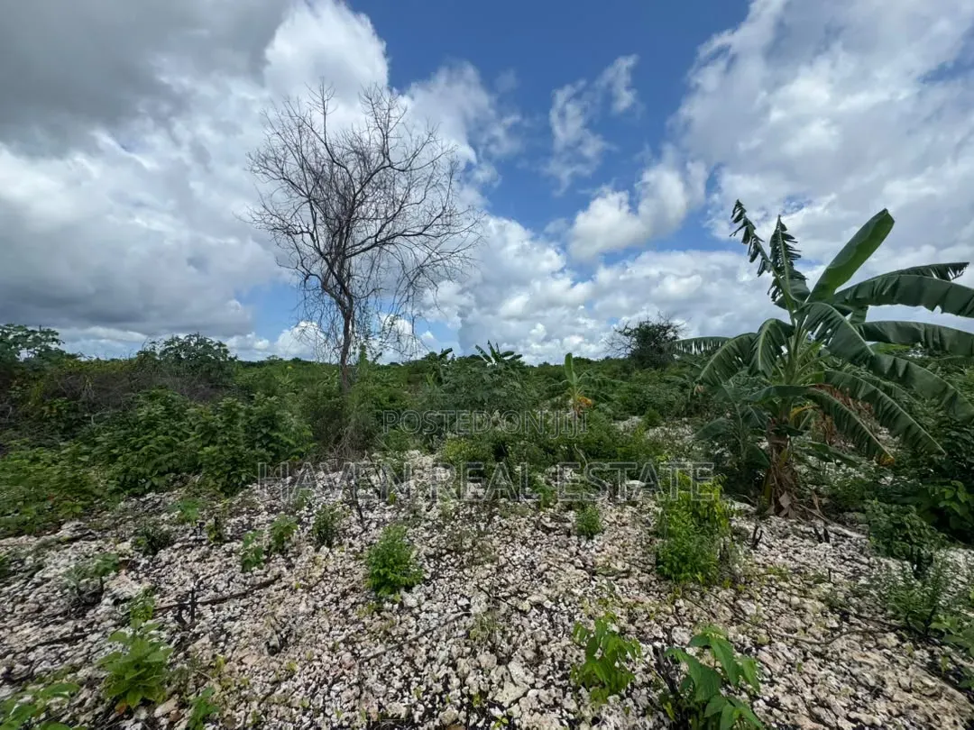 Beach Plot for Sale at Zanzibar in Kusini