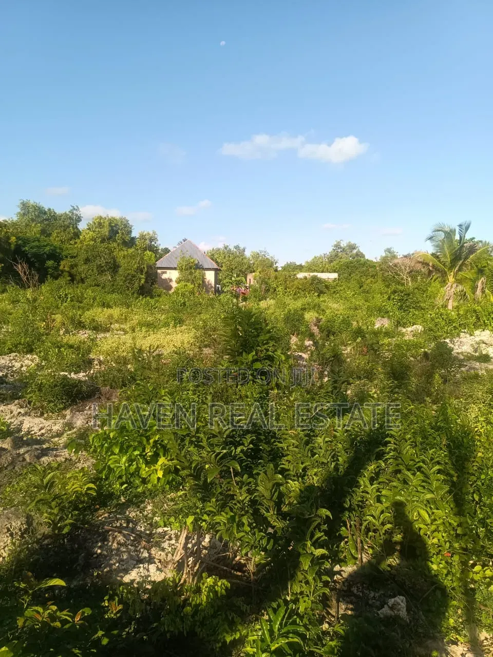Plot for Sale at Paje Zanzibar in Kaskazini A