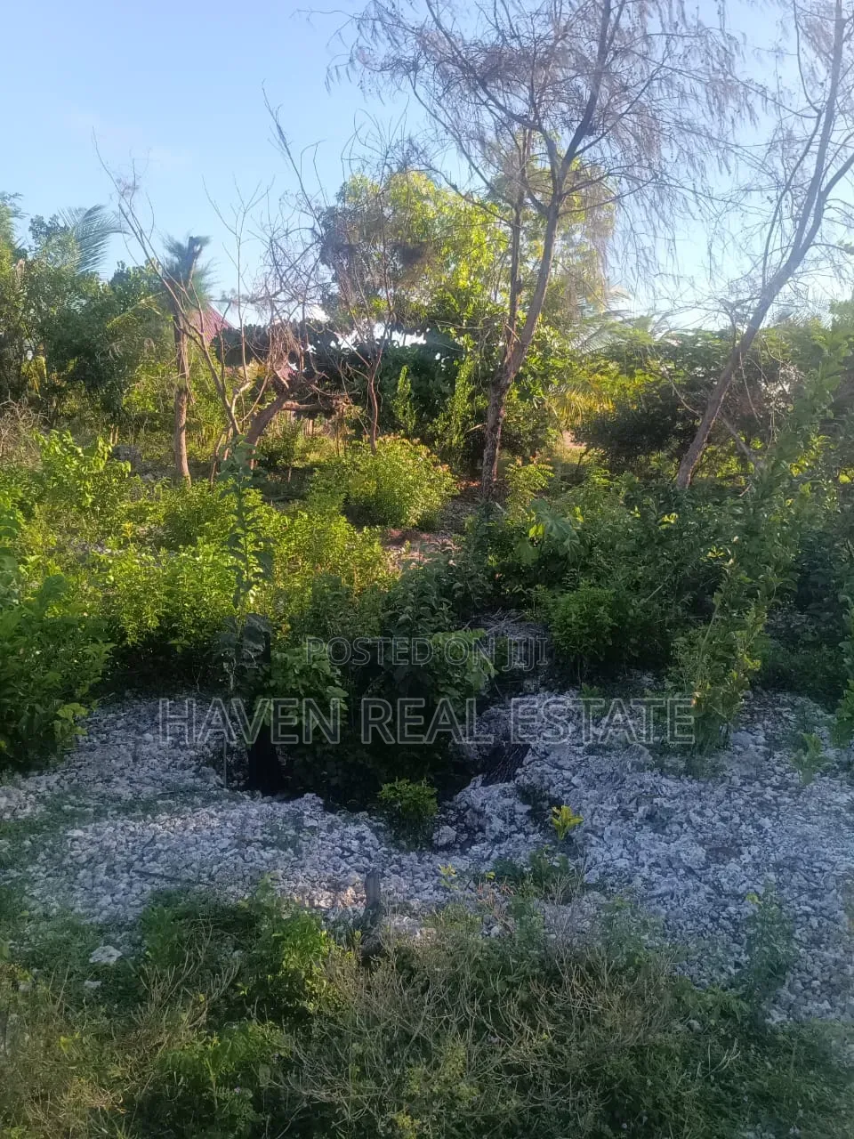 Plot for Sale at Paje Zanzibar in Kaskazini A