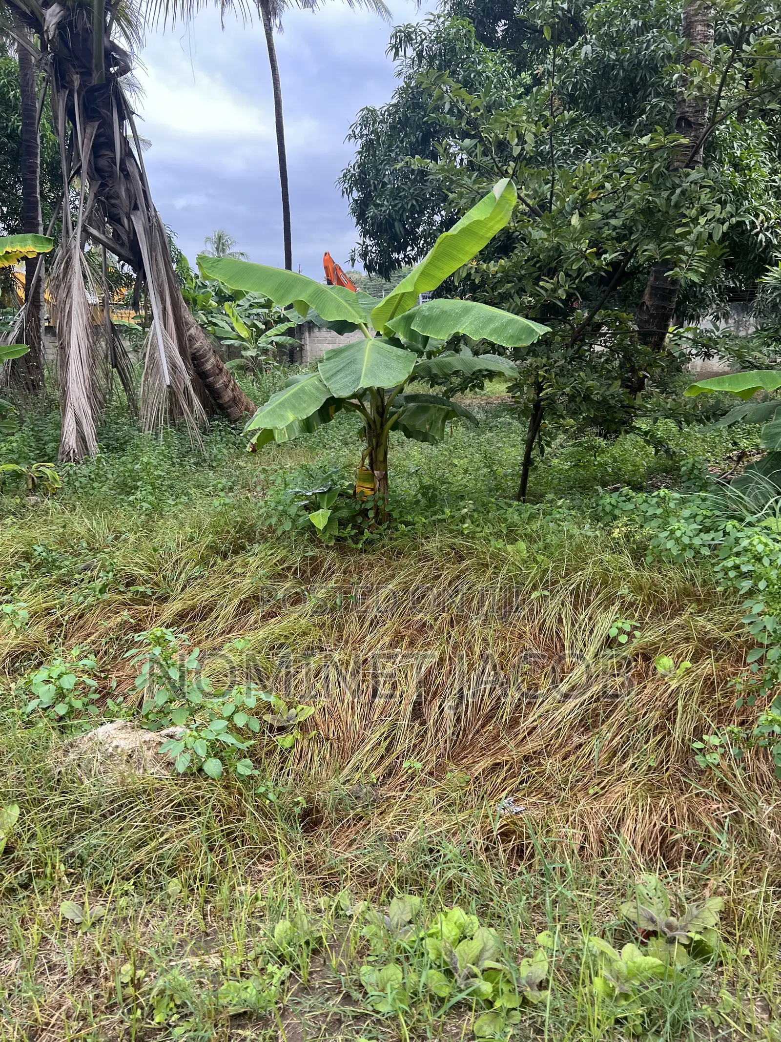 Plot for Sale in Oyster Bay