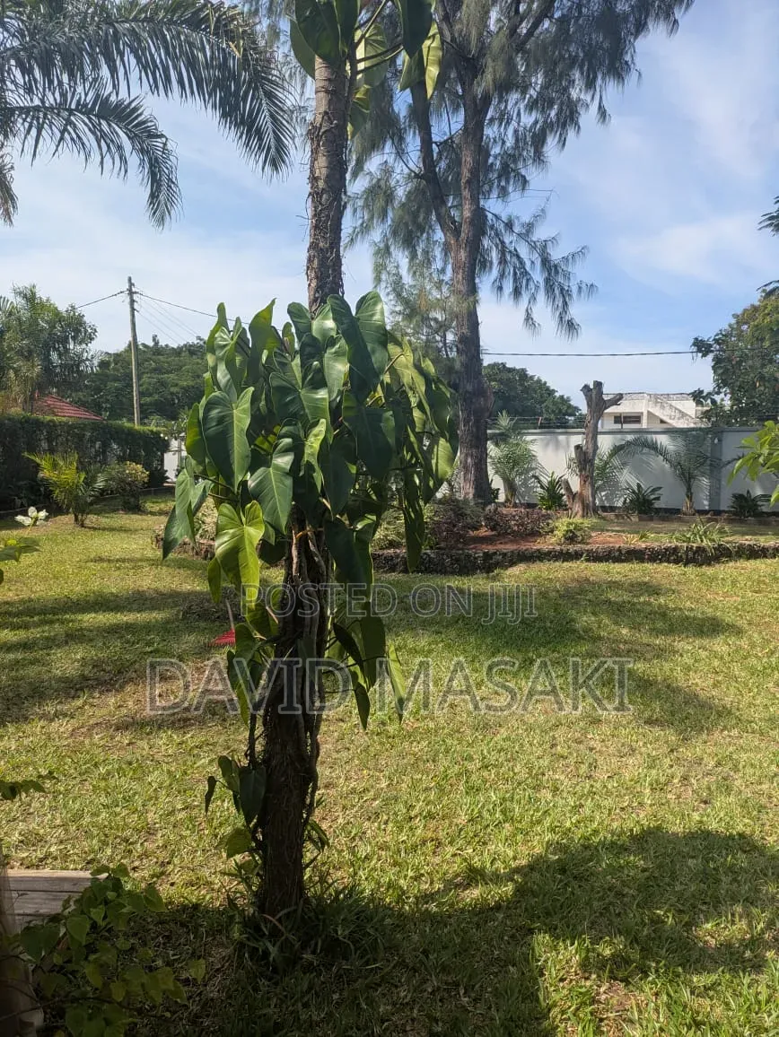 4bdrm Villa in Villas, Masaki for rent in Masaki