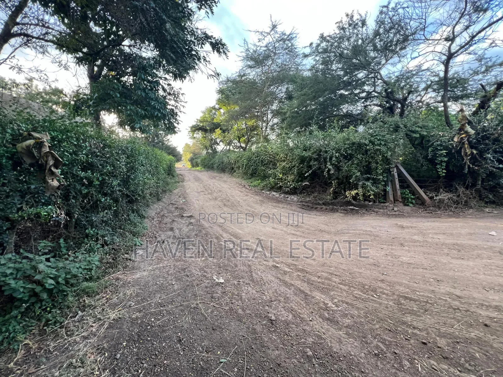 3 Acres Investment Property for Sale at Arusha in Tengeru