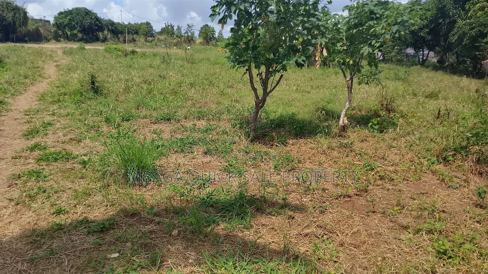 Plot Area SQM 4260 for Sale at Madale Msigani in Goba