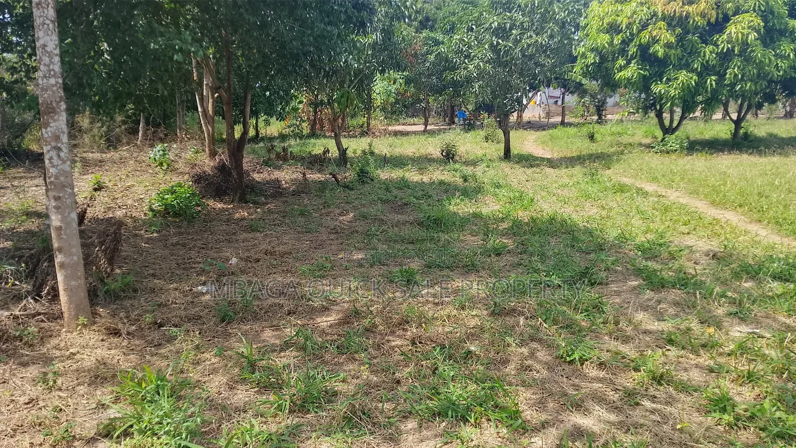 Plot Area SQM 4260 for Sale at Madale Msigani in Goba