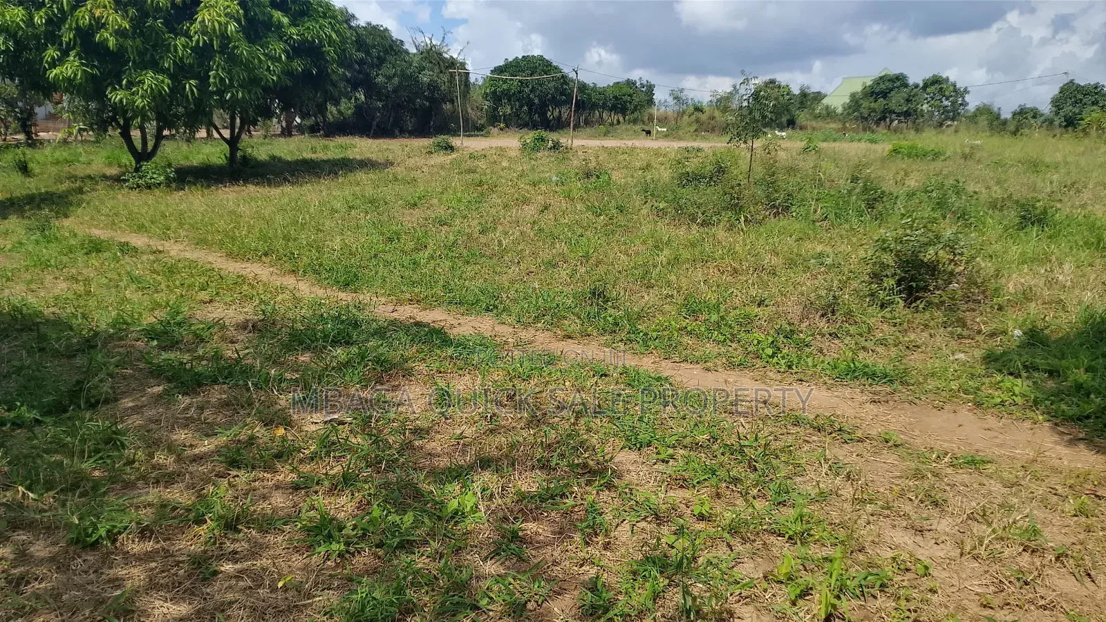 Plot Area SQM 4260 for Sale at Madale Msigani in Goba