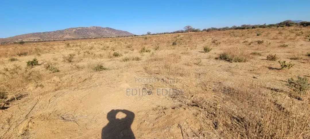 8bdrm House in Ediba Real Estate, Njiro for rent in Njiro