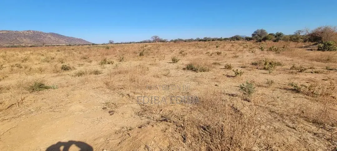 8bdrm House in Ediba Real Estate, Njiro for rent in Njiro