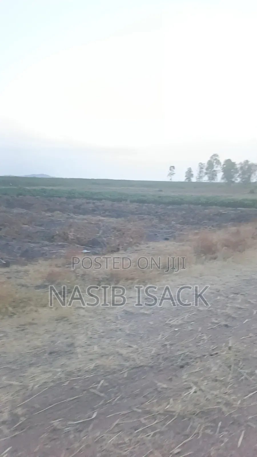 Plot for Sale Mwanza in Idetemya