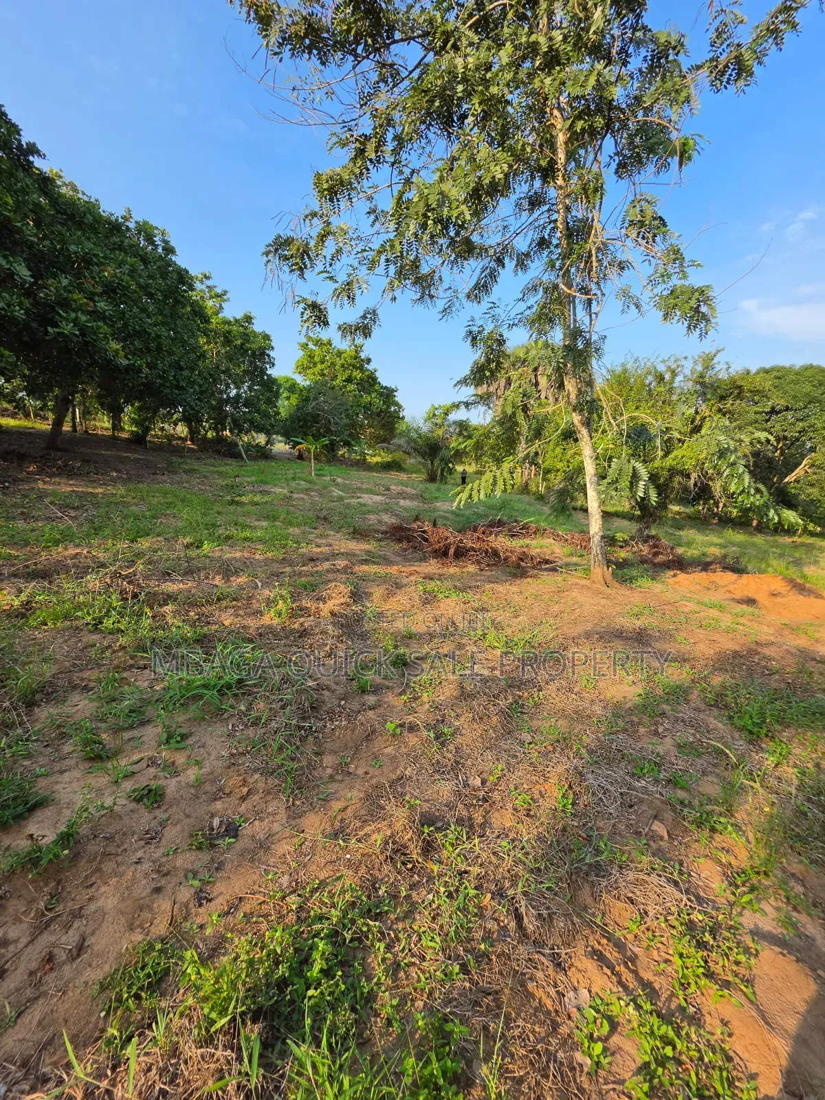 Plot Area Sqm1200 for Sale Located in Madale Mbopo in Goba