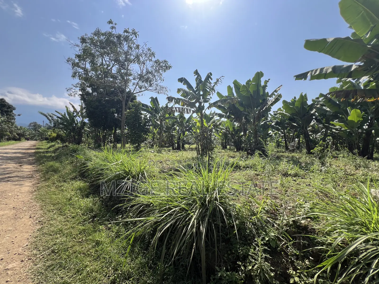 Premium 3.8-Acre Commercial Land in Shangarai / Msorongo, Arusha in Central Business Area