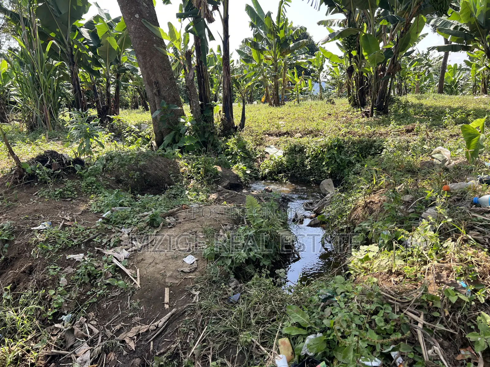 Premium 3.8-Acre Commercial Land in Shangarai / Msorongo, Arusha in Central Business Area