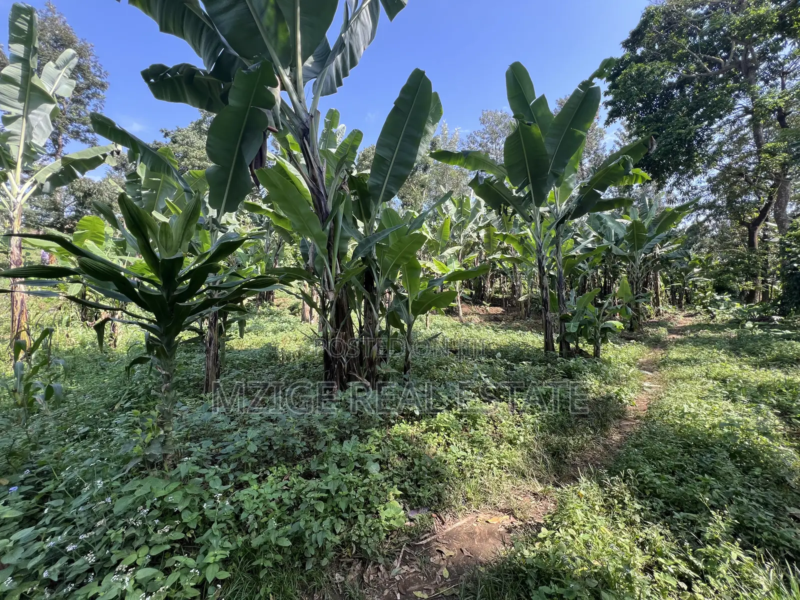Premium 3.8-Acre Commercial Land in Shangarai / Msorongo, Arusha in Central Business Area