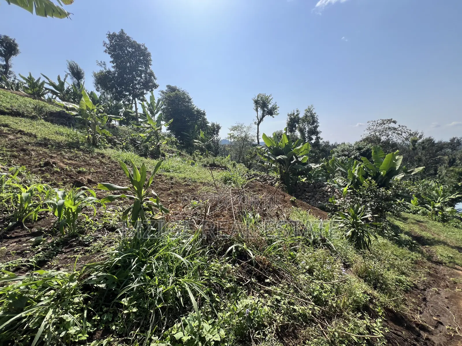 Premium 3.8-Acre Commercial Land in Shangarai / Msorongo, Arusha in Central Business Area
