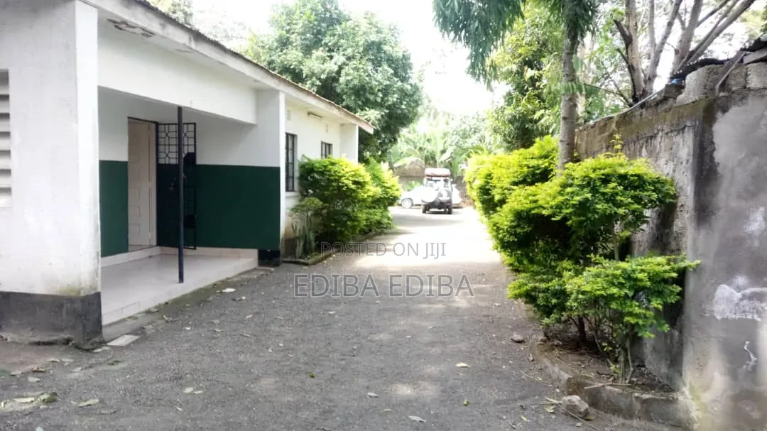 3bdrm House in Ediba Real Estate, Uzunguni for rent in Uzunguni