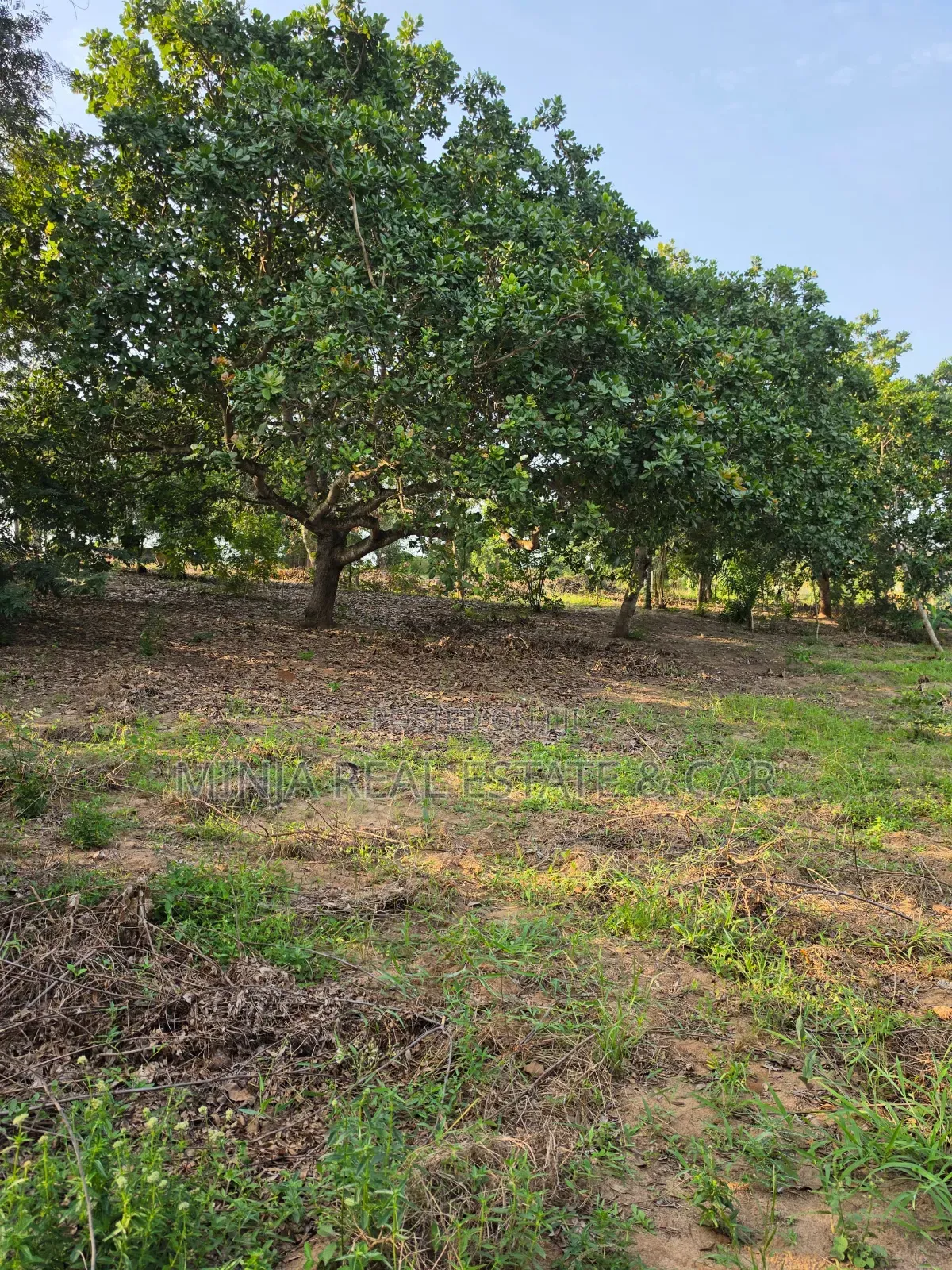 Cheap Plot for Sale Madale Mbopo Mabanda Ya Kuku in Goba