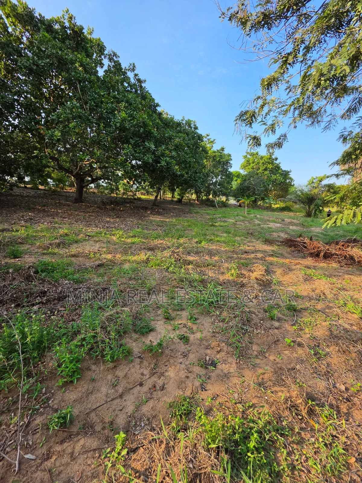 Cheap Plot for Sale Madale Mbopo Mabanda Ya Kuku in Goba
