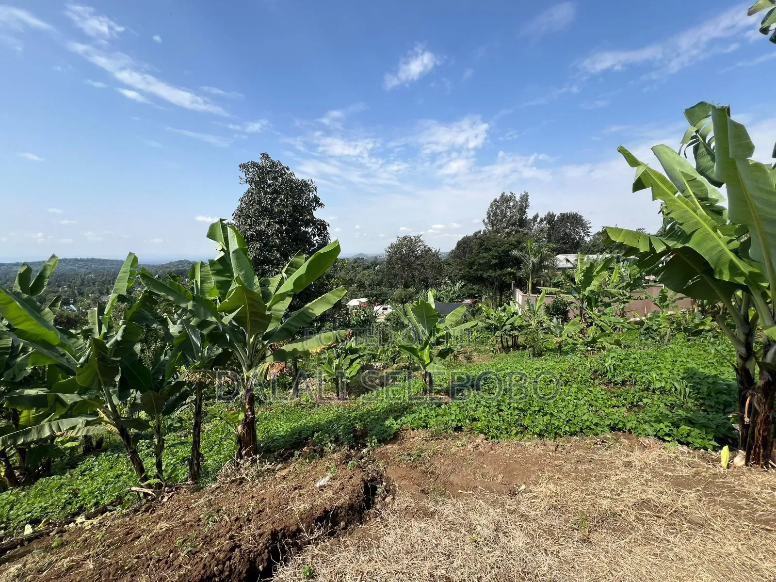 3hector Investment at Arusha Sangara in Arusha Chini