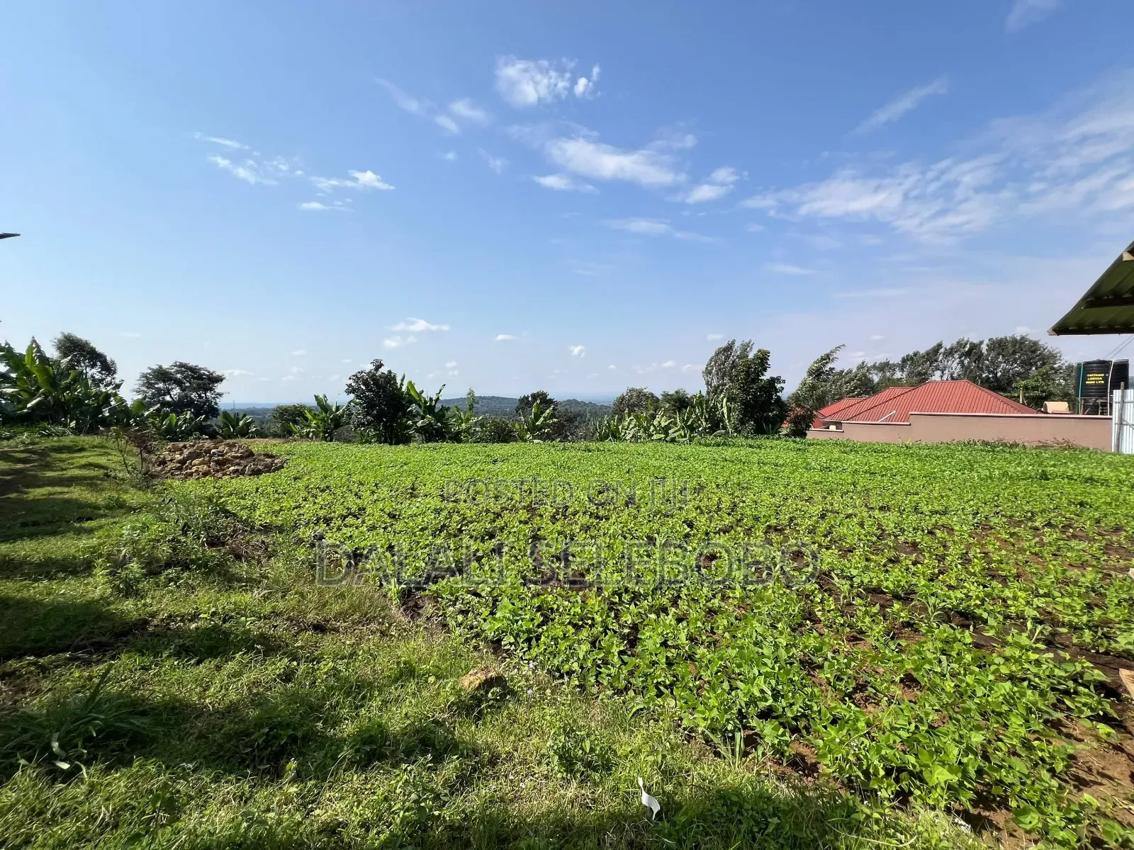 3hector Investment at Arusha Sangara in Arusha Chini
