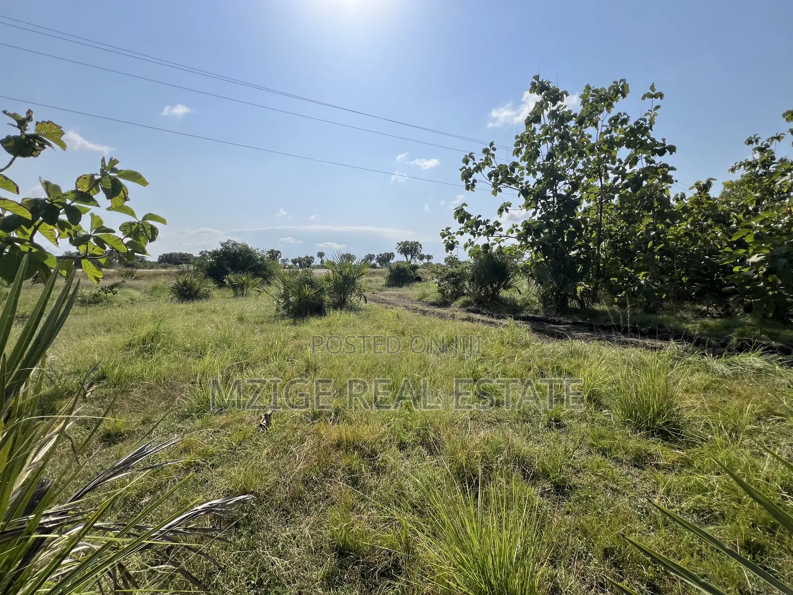Petrol Station Plot Ekari 3 Imegusa Pangani Road Inauzwa Neema, Tanga in Central
