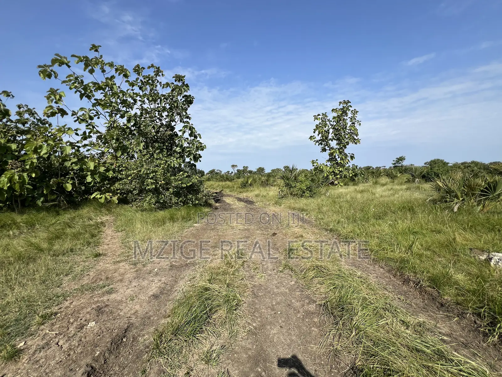Petrol Station Plot Ekari 3 Imegusa Pangani Road Inauzwa Neema, Tanga in Central