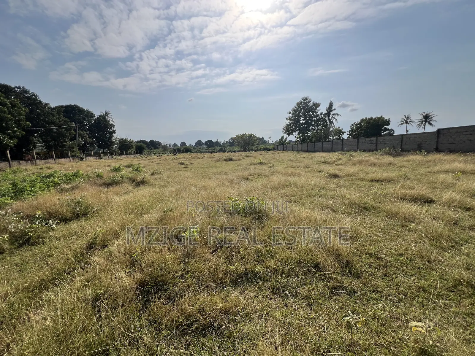 Prime Corner Plot for Sale in Mwambani, Tanga in Central
