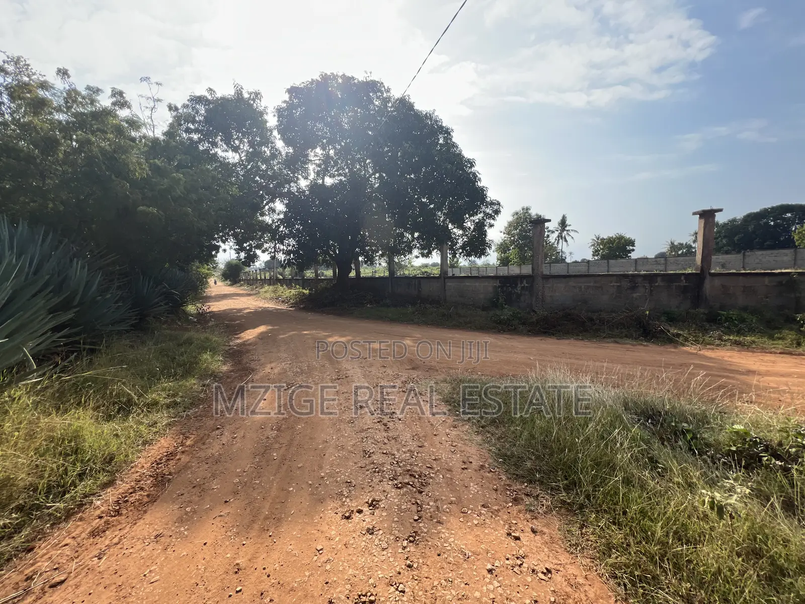 Prime Corner Plot for Sale in Mwambani, Tanga in Central