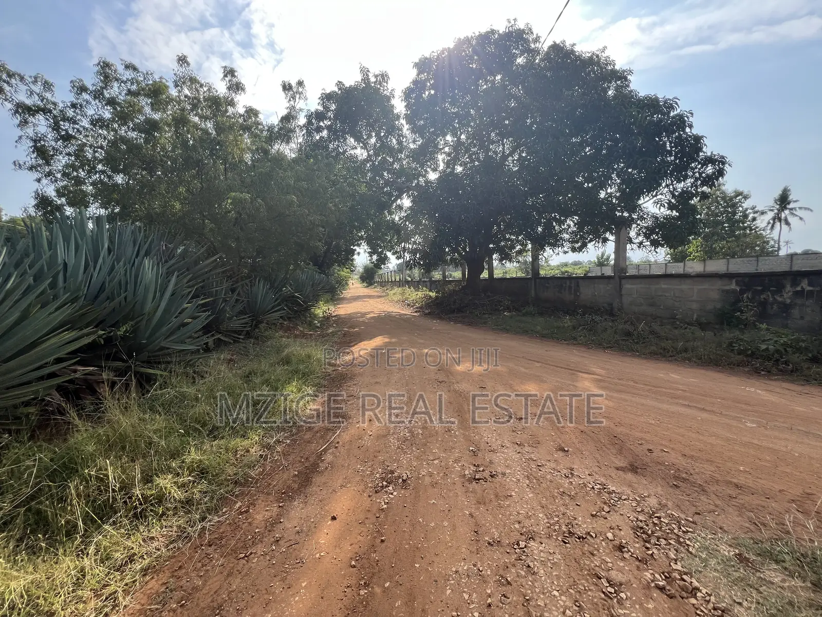 Prime Corner Plot for Sale in Mwambani, Tanga in Central
