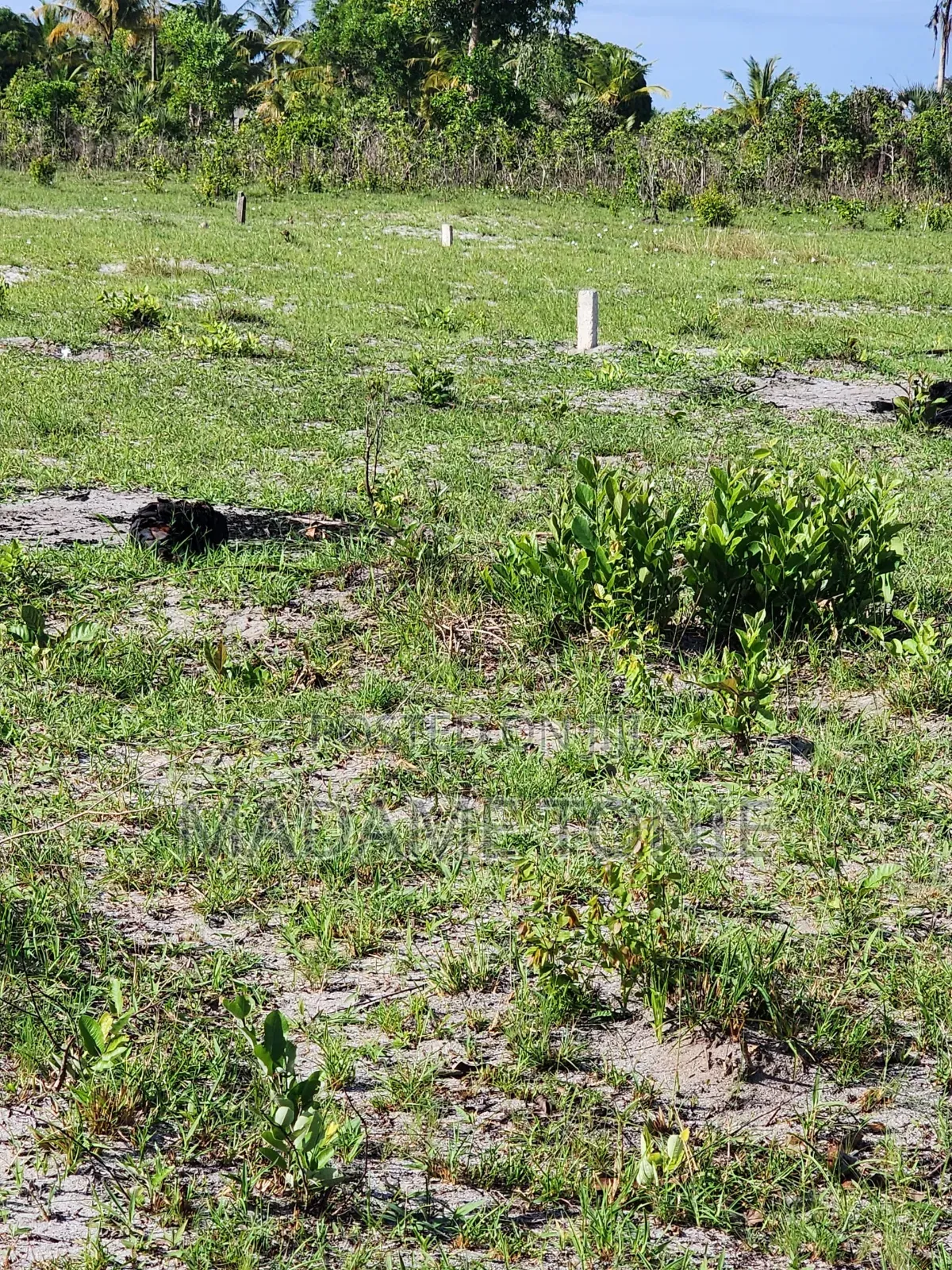 Viwanja Kigamboni Tundwi Songani, Malipo Miaka in Kigamboni