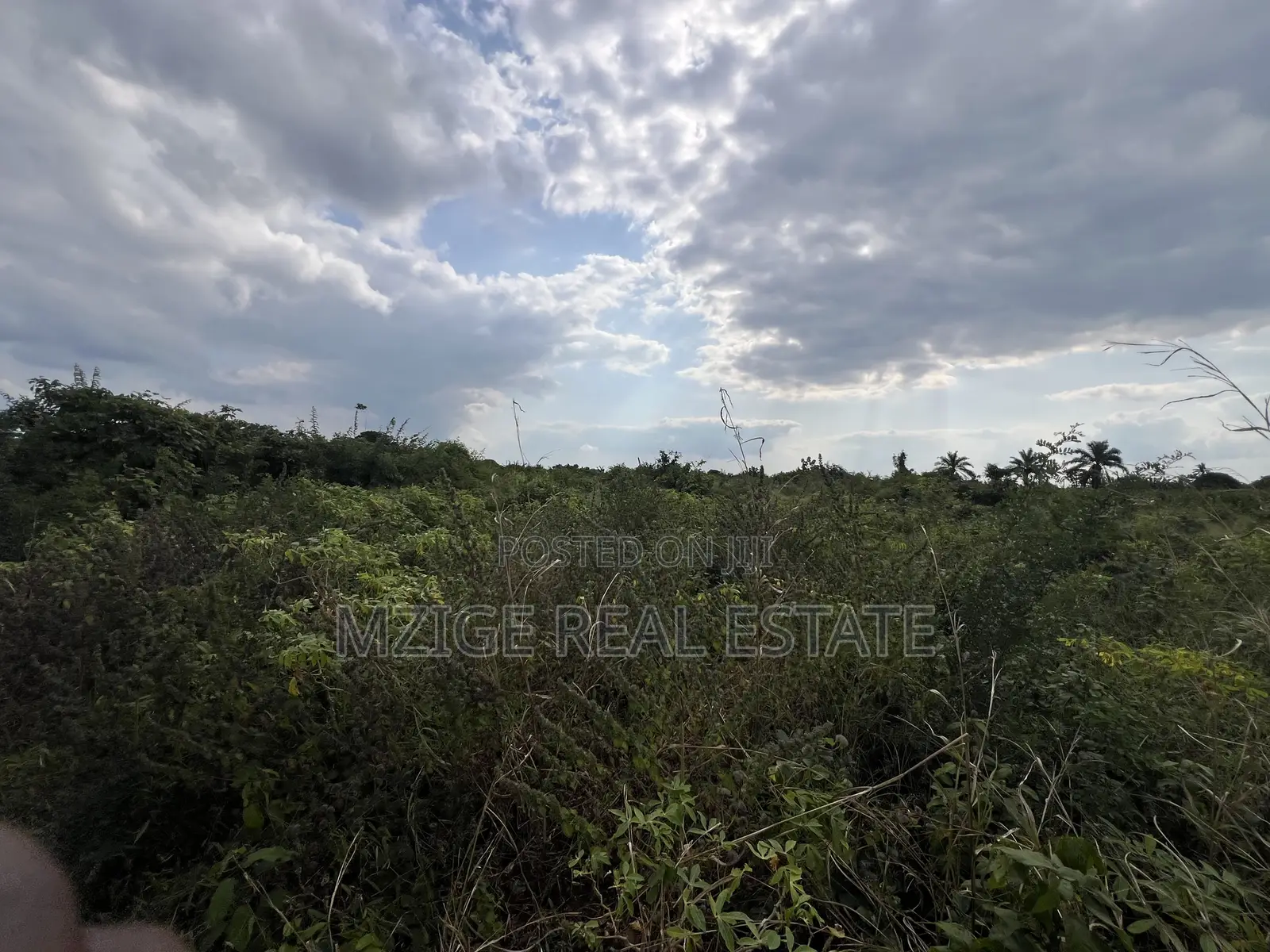 Premium Plot: 30 Acres in Kisarawe at an Unbeatable Price! in Msanga