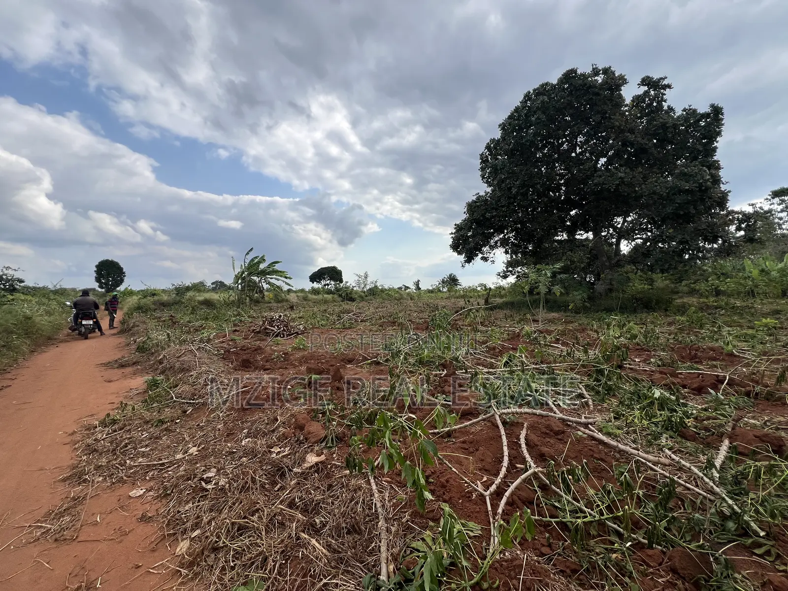 Premium Plot: 30 Acres in Kisarawe at an Unbeatable Price! in Msanga