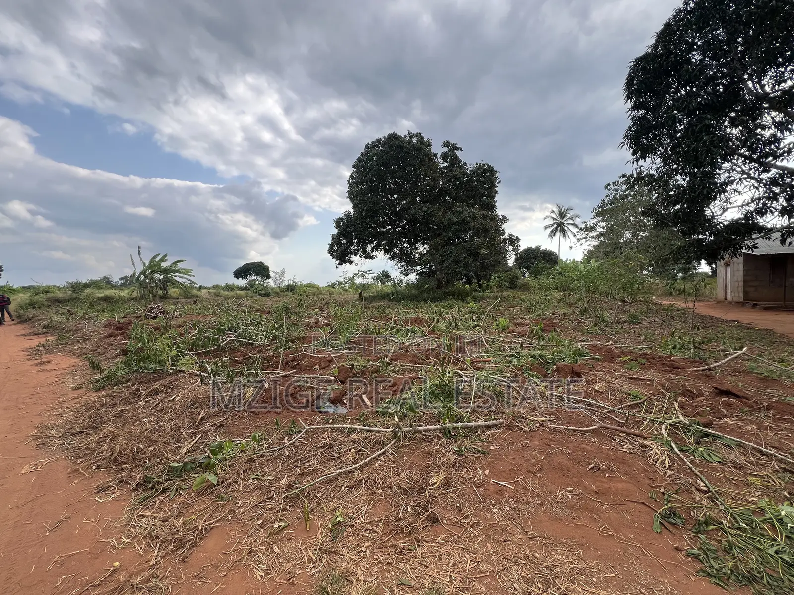 Premium Plot: 30 Acres in Kisarawe at an Unbeatable Price! in Msanga