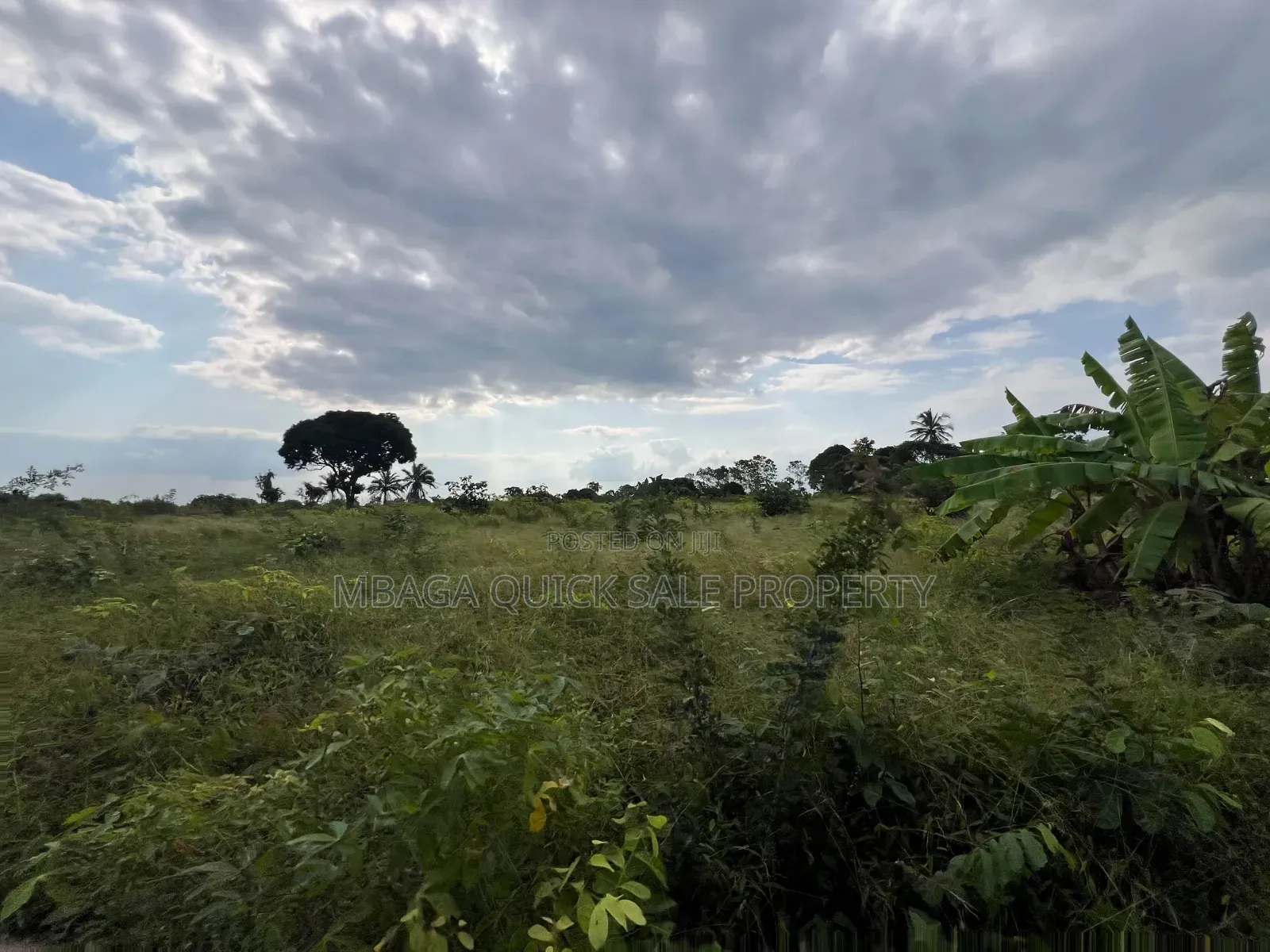Plot for Sale at Kisarawe 30 Acres in Kibuta