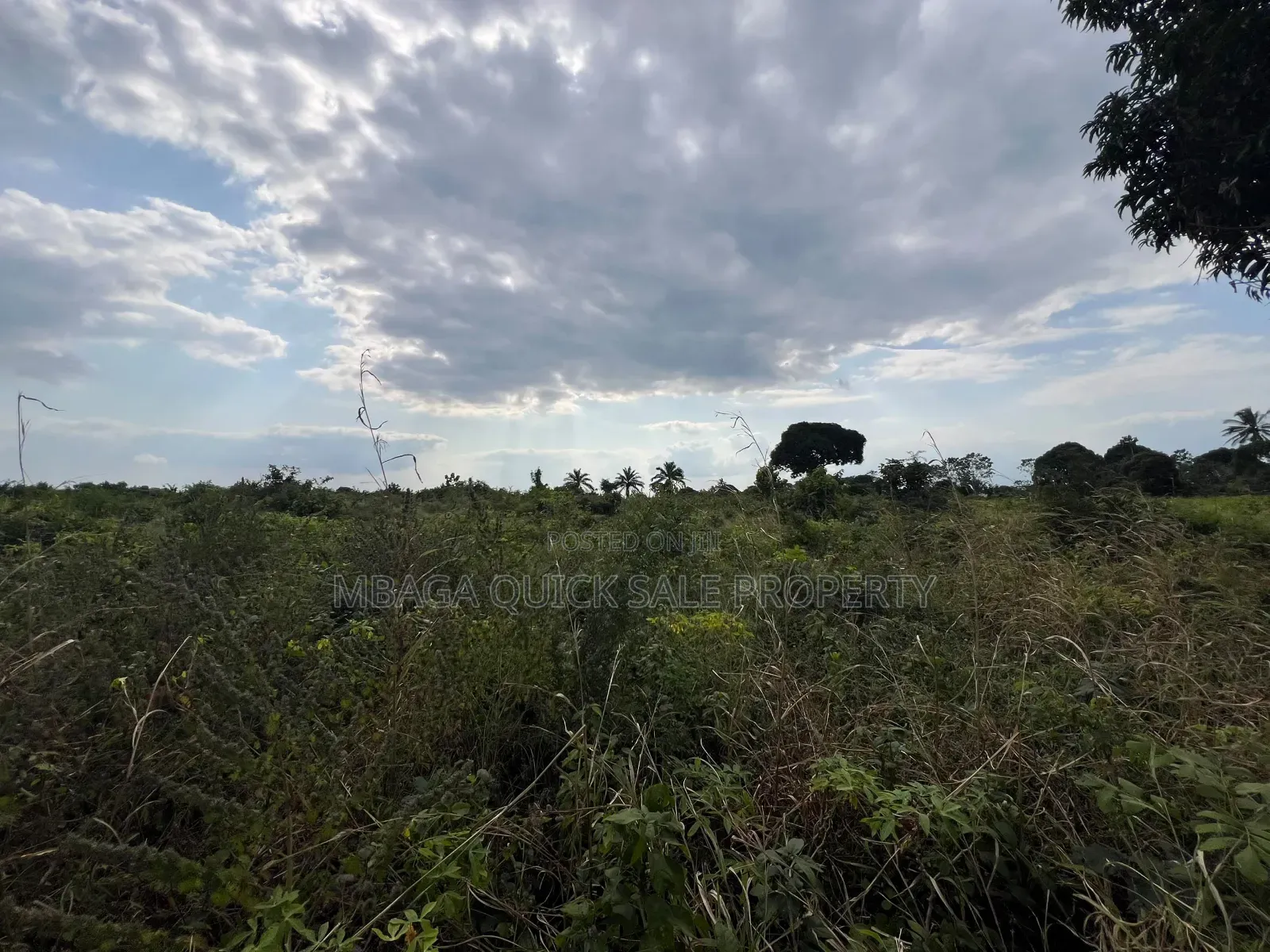 Plot for Sale at Kisarawe 30 Acres in Kibuta