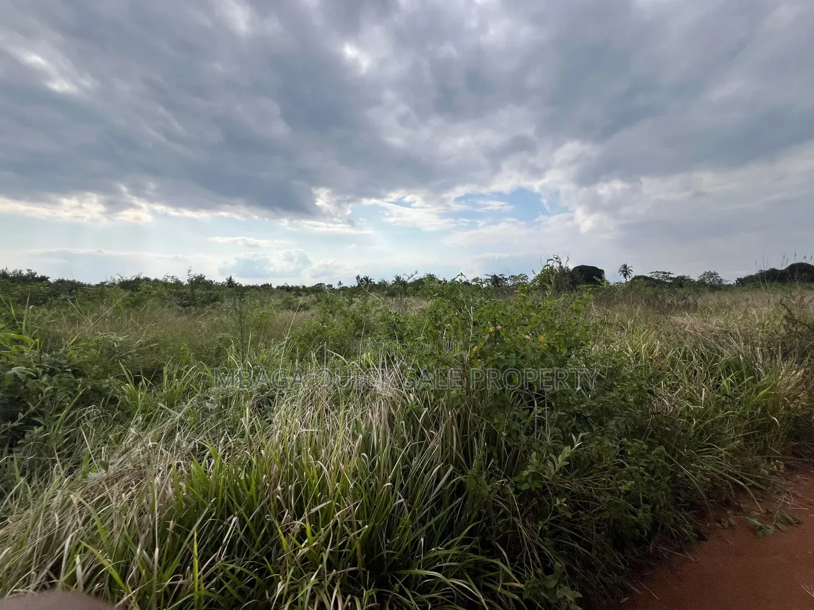 Plot for Sale at Kisarawe 30 Acres in Kibuta