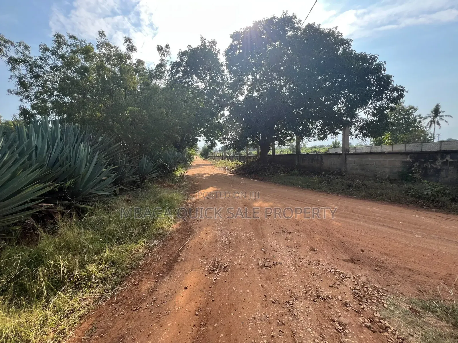 BIG Plot With 8.5 Acres for Sale Located in Mwambani Tanga in Doda